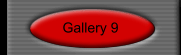 Gallery 9